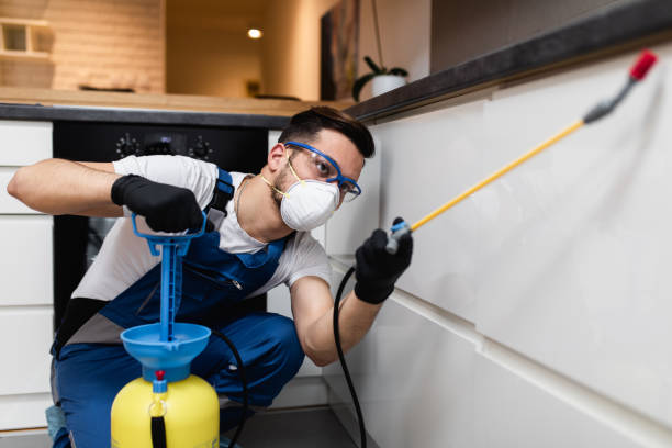 Flea Control Services in Englewood, OH