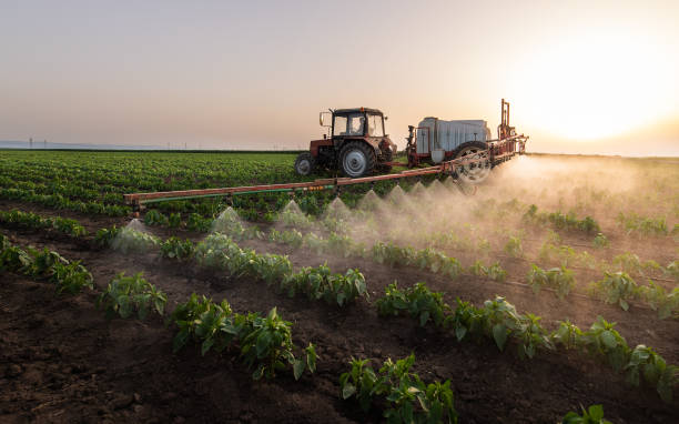Best Mosquito Control Services  in Englewood, OH