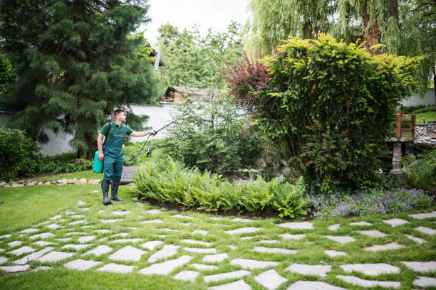 Best Mosquito Control Services  in Englewood, OH