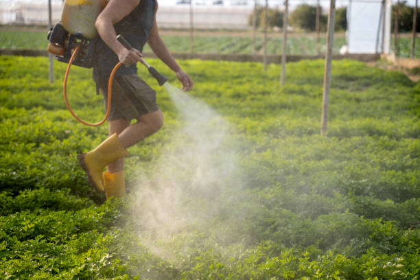 Professional Pest Control in Englewood, OH