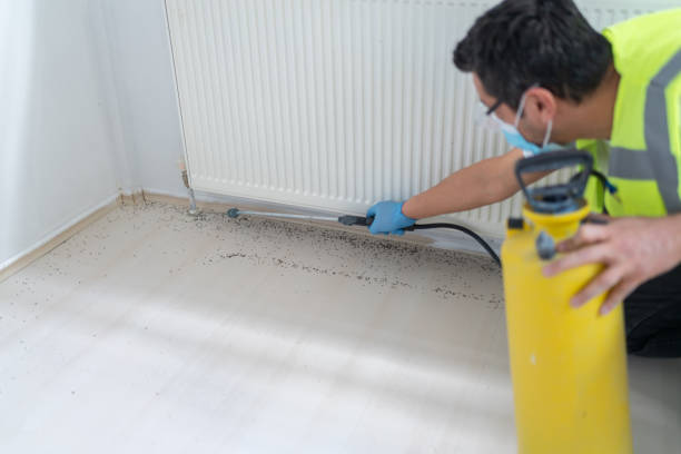 Best Best Pest Control Near Me  in Englewood, OH